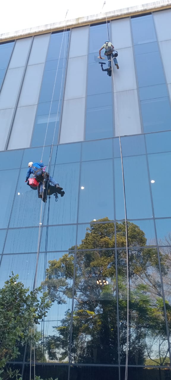 Living room cleaning